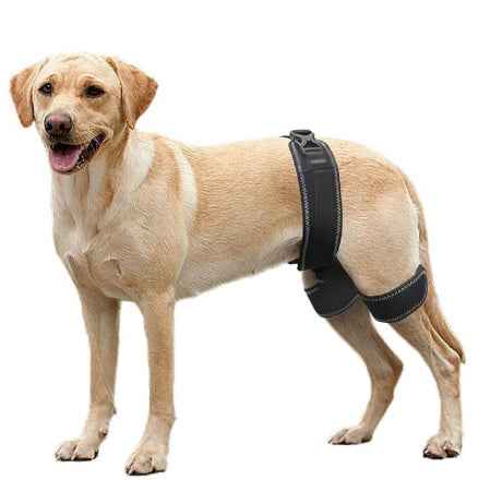 Pet Dog Hip Support Belt Orthotic Device